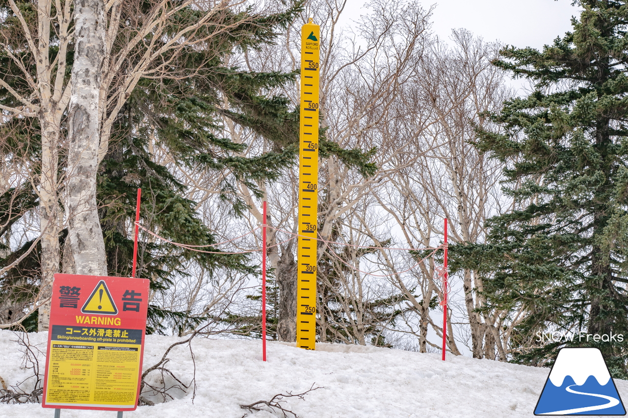 札幌国際スキー場｜2022年のゴールデンウイークが開幕。さすが、KOKUSAI。5月目前にして、ほぼ全面滑走可能です(*^^)v